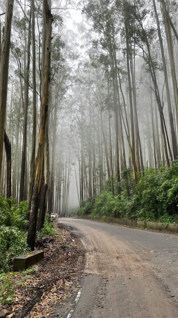 Ooty Road