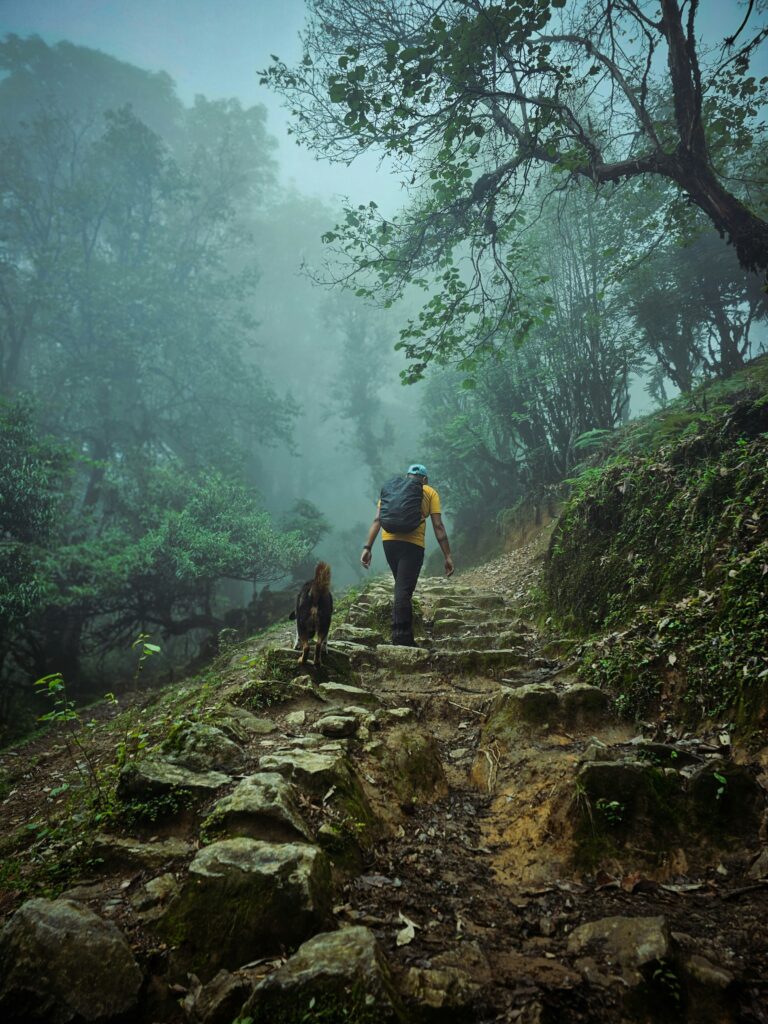 Sikkim Place