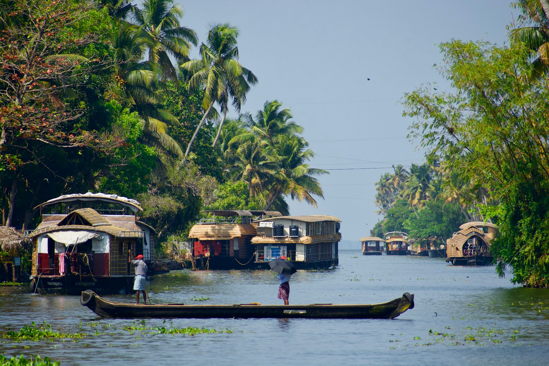 Alleppey
